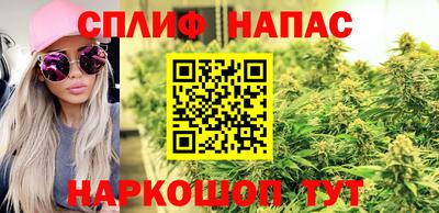 дживик Ставрополь