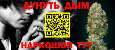 сатива Сланцы