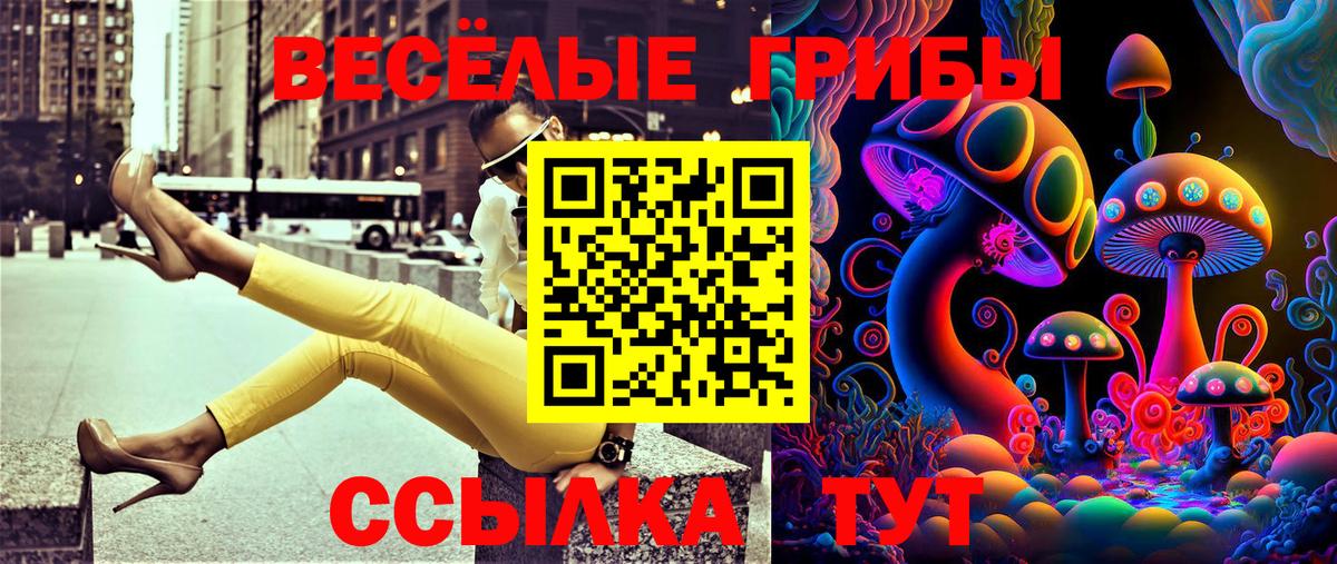 Волжск  Псилоцибиновые грибы GOLDEN TEACHER  Вход с VPN 
